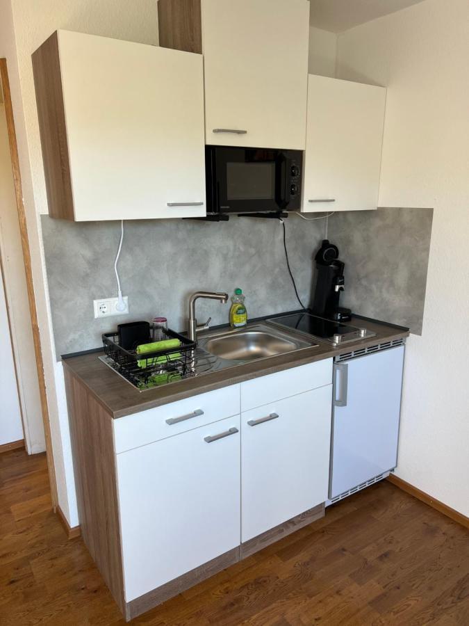 Apartment Malerkarle Zentral سانكت بيتر المظهر الخارجي الصورة